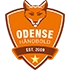 Odense Handball