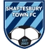 Shaftesbury Town