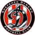Shepshed Dynamo