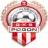 Home club logo.