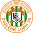 Home club logo.