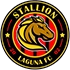 Stallion Laguna FC