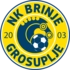 Nk Brinje Grosuplje