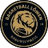 Basketball Loewen Braunschweig