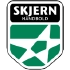 Skjern Håndbold