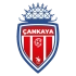 Cankaya FK