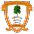 Ashford Town