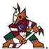 Arizona Coyotes