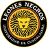 Leones Negros