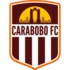 Club logo.