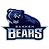 Bakken Bears