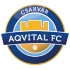 Aqvital FC Csakvar