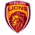 Bulleen Lions