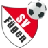 SV Fuegen