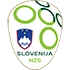 Club logo.