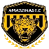 Home club logo.