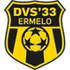DVS 33