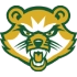 St. Vincent College Athletics