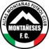 Montaneses