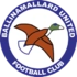 Ballinamallard United