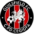 Guilsfield FC