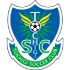 Tochigi SC