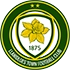 Llanidloes Town FC