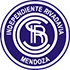 Home club logo.