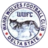 Warri Wolves FC