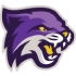 Bethel Wildcats